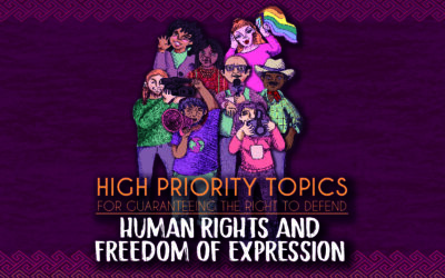 High Priority Topics for Guaranteeing the Right to Defend Human Rights and Freedom of Expression.