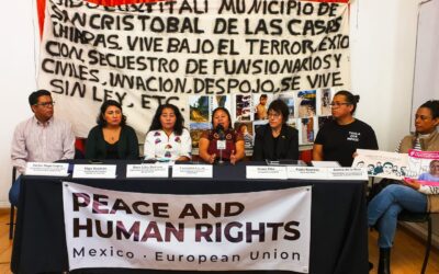 Misión Internacional documenta violaciones a Derechos Humanos en México y llama a acciones coordinadas 