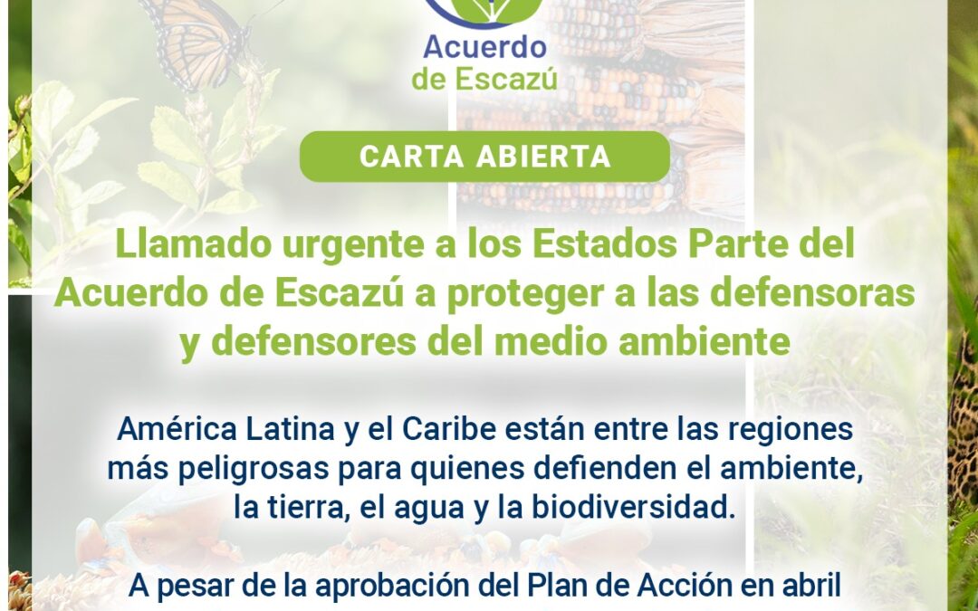 Urgente llamado a los Estados Parte del Acuerdo de Escazú para acelerar la implementación del Plan de Acción sobre defensoras y defensores de derechos humanos en asuntos ambientales de América Latina y el Caribe