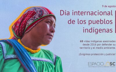 Este 9 de agosto, Día Internacional de los Pueblos Indígenas, exigimos justicia y protección
