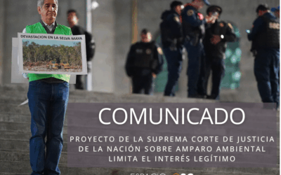 Proyecto de la Suprema Corte de Justicia de la Nación sobre amparo ambiental limita el interés legítimo 